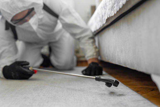 Professional Termite Control technician working in Key West, FL