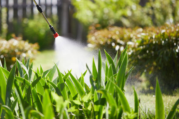 24/7 Emergency Termite Control experts in Key West, FL