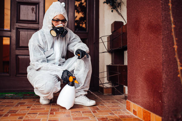 Reliable Termite Control contractor in Key West, FL by Nex Pest Control